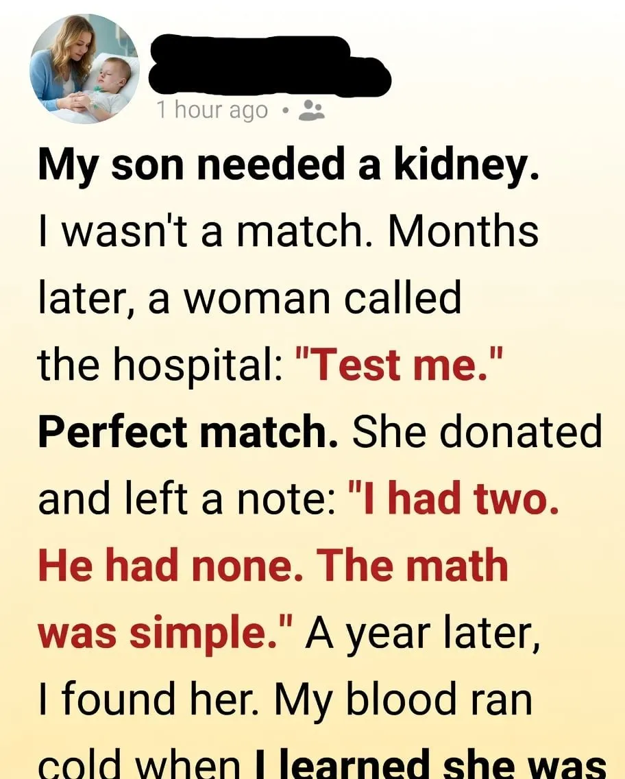 She Saved My Son’s Life With A Rare Donor Match—Then She Asked For One Favor That Left Me Speechless And Questioning Our $250,000 Medical Debt
