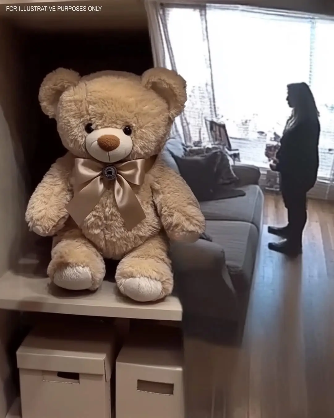 I Wanted to See What My Babysitter Did While I Was Away, but the Footage Exposed a Shocking Truth