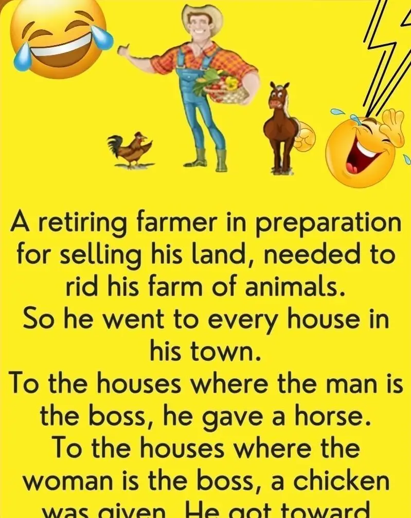 Black Horse Or Chicken?