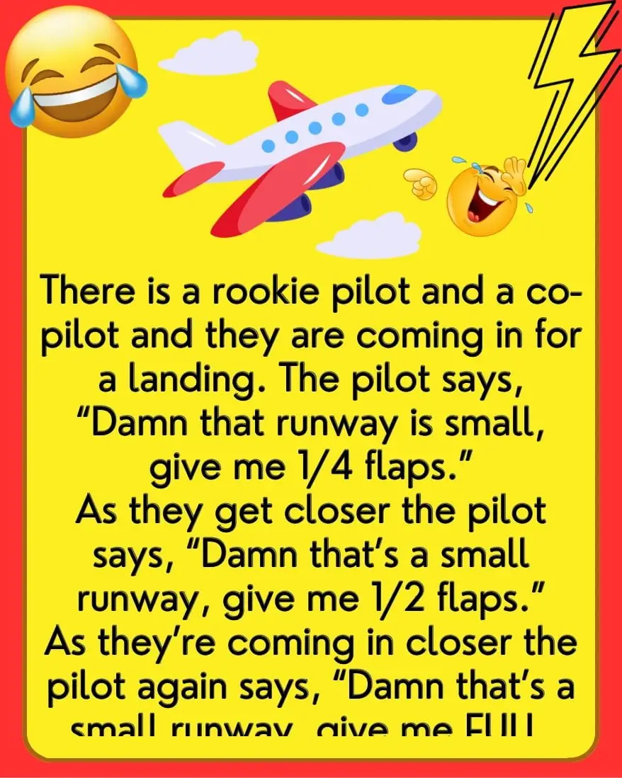 Funny Joke ‣ The Rookie Pilot