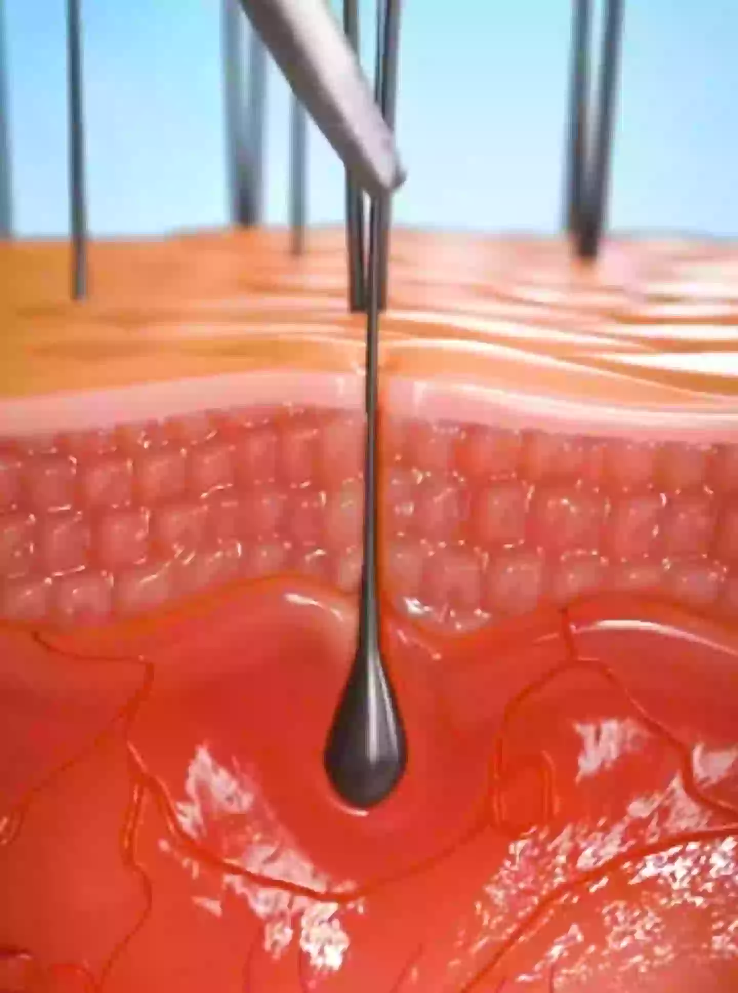 Shocking simulation reveals what happens when you pluck a hair!