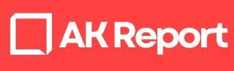 punnik.com