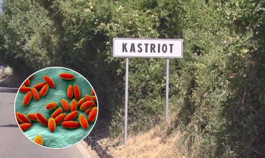 Dibra në alarm/ Pas murtajës së bagëtive, shfaqet sëmundja e Brucelozës, izolohen dy familje të zonës