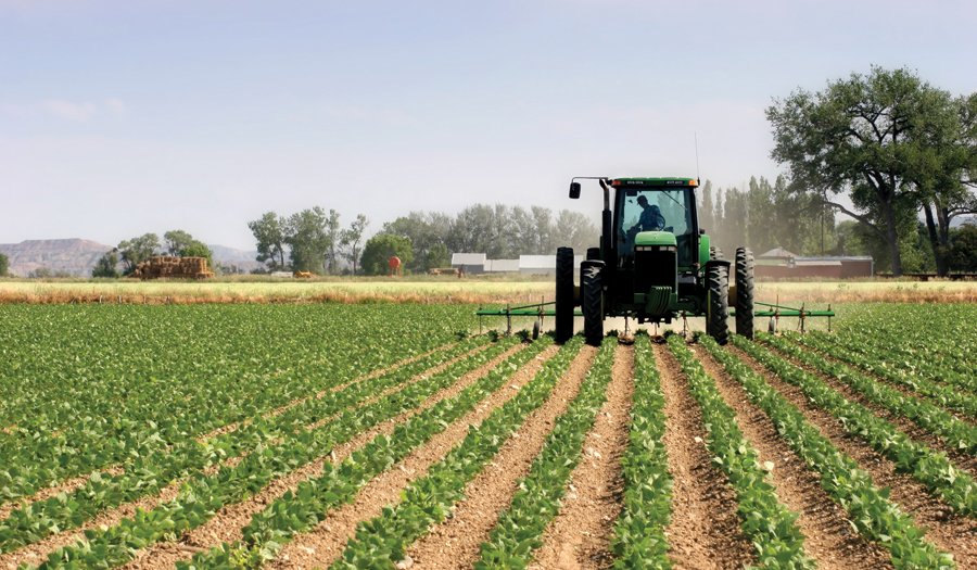 Tokat me 7501/ Zbardhet plani i regjistrimit në Agjencinë e Kadastrës, ja se si do të kryhet verifikimi